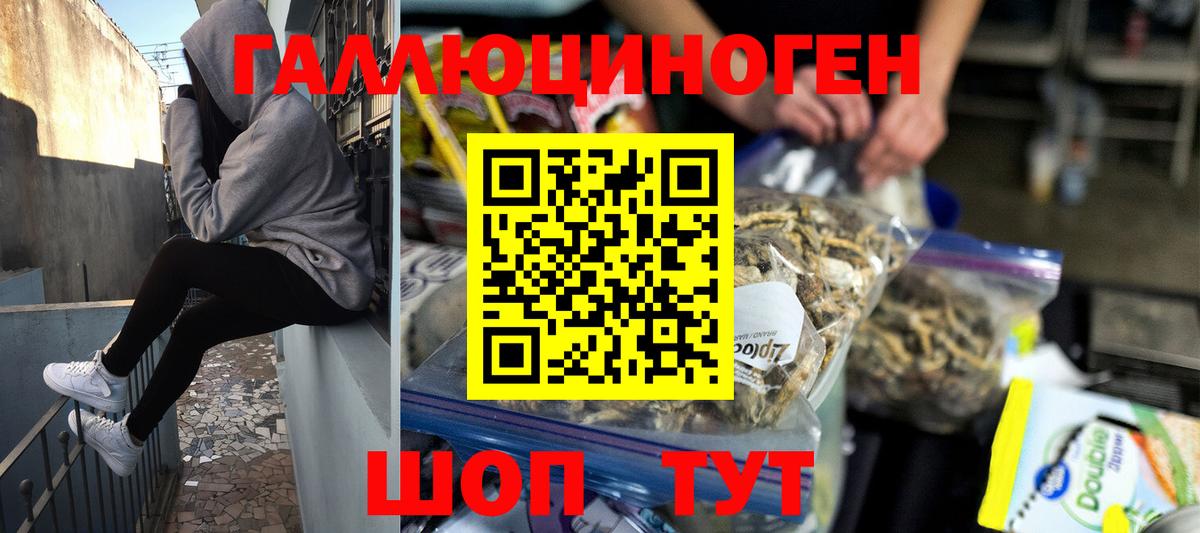 Псилоцибиновые грибы мухоморы Кирово-Чепецк