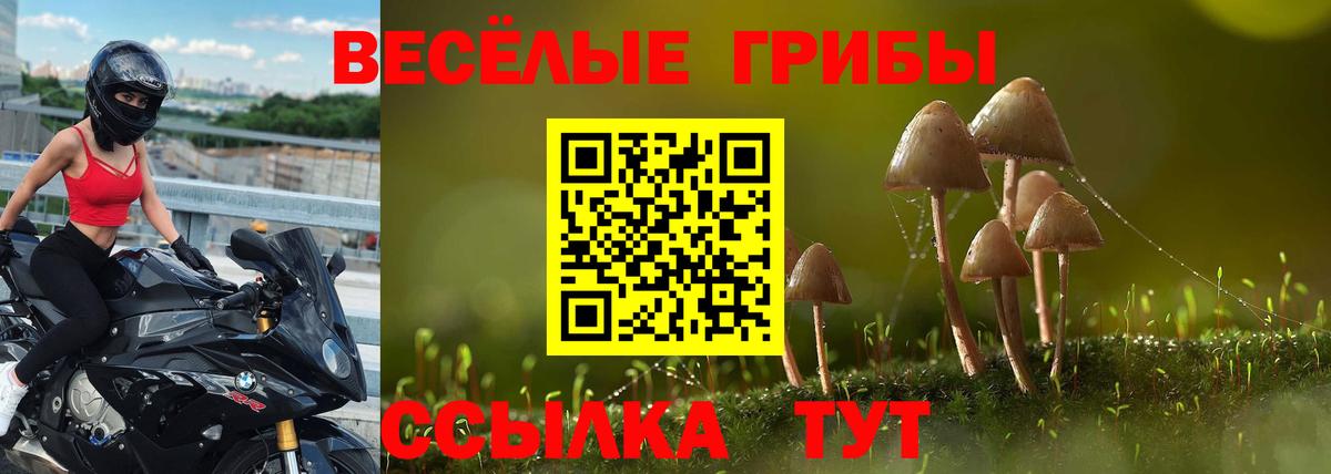 Галлюциногенные грибы Psilocybine cubensis  Вход с VPN  Кирово-Чепецк 